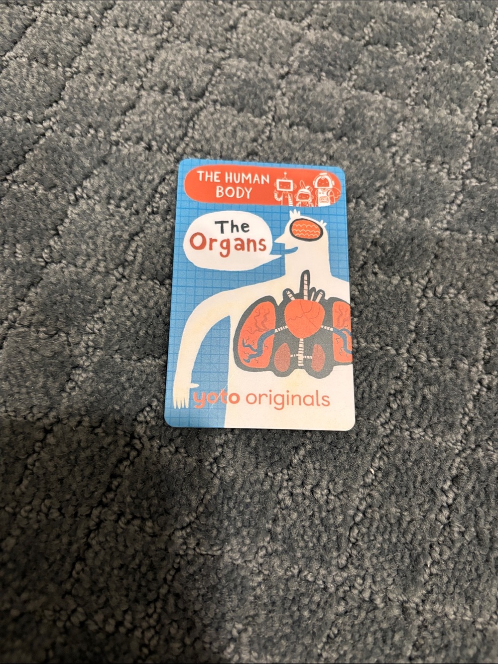 yoto originals The Organs Educational Card - Blue and Orange